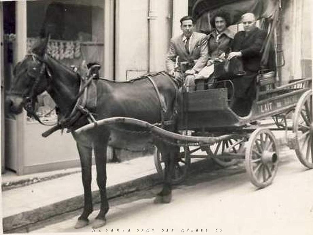 Oran- SDV- 4418.jpg